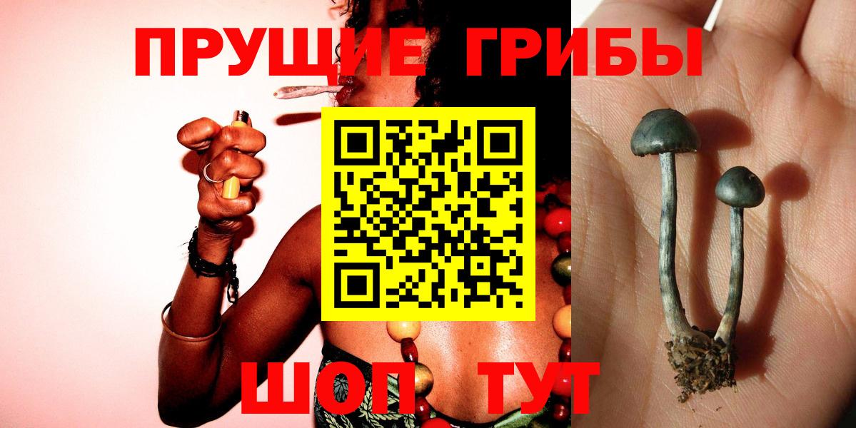 Галлюциногенные грибы мицелий  Псилоцибиновые грибы Psilocybine cubensis  Белореченск  Вход с VPN 
