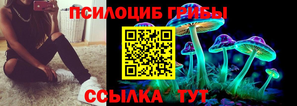 Галлюциногенные грибы Psilocybe Белореченск