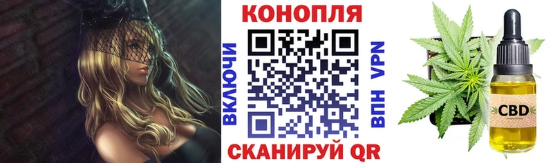 где найти   MEGA   Конопля THC 21%  Белореченск 